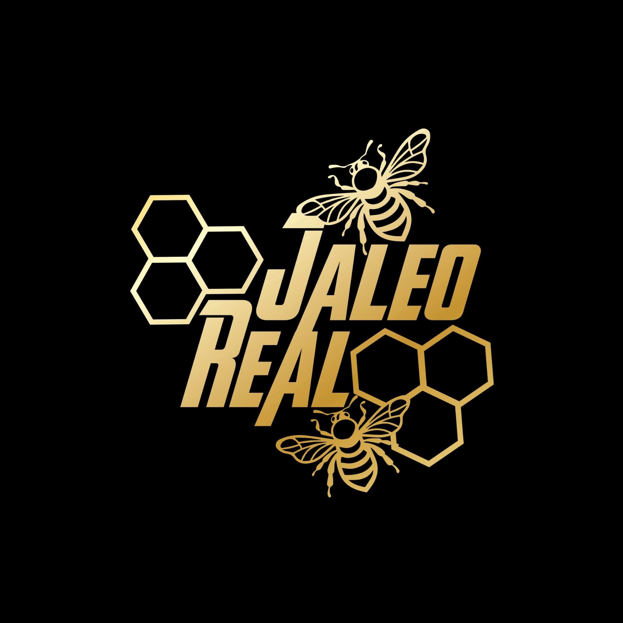 fiesta de música electrónica Madrid Jaleo Real