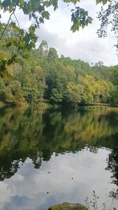 lago de basilar festival